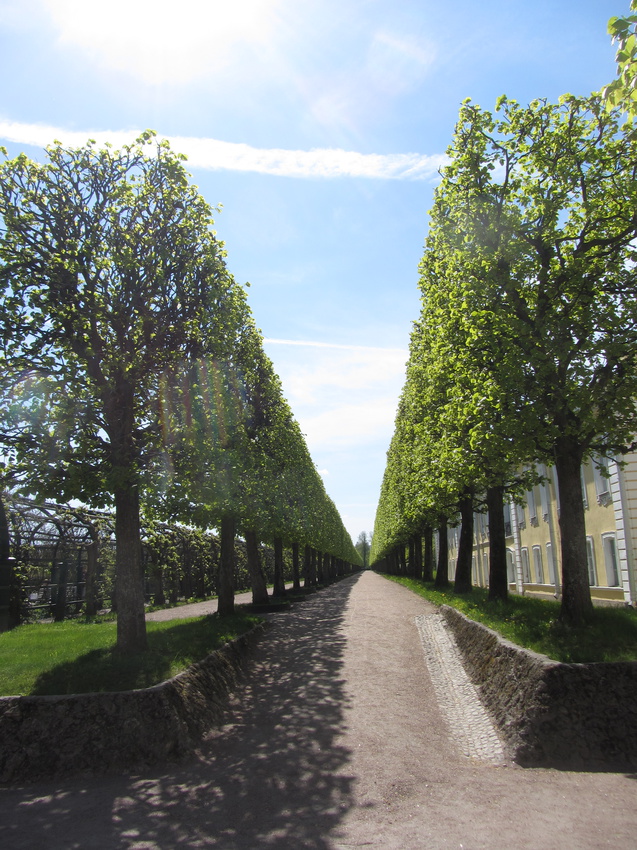 Петергоф,  Верхний сад