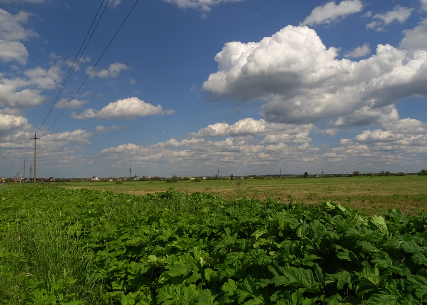 Окрестности Войскорово