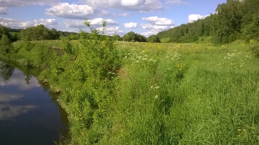 Обрывистый берег