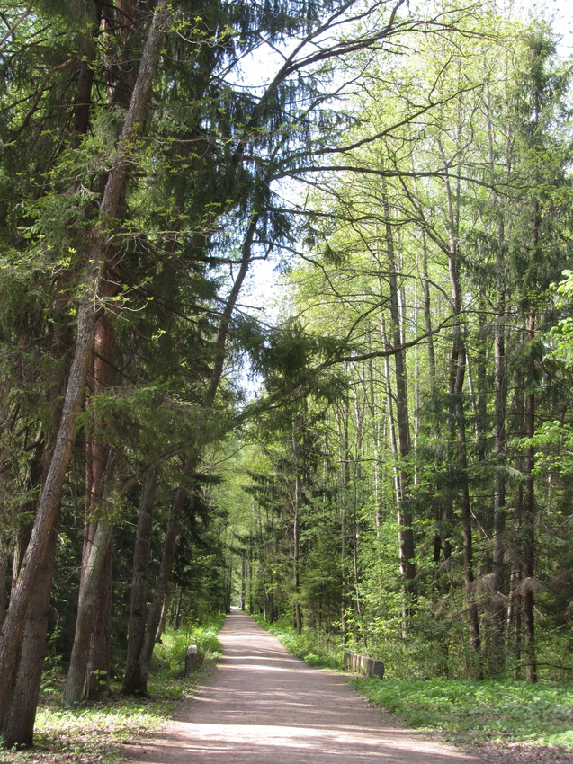 Парк- усадьба &quot;Сергиевка&quot;, Петергоф