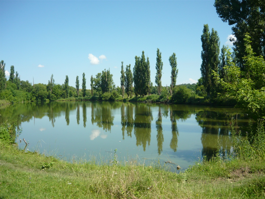 село Тарнавка