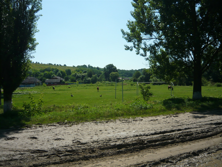 село Тарнавка