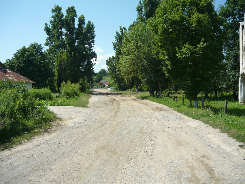 село Тарнавка