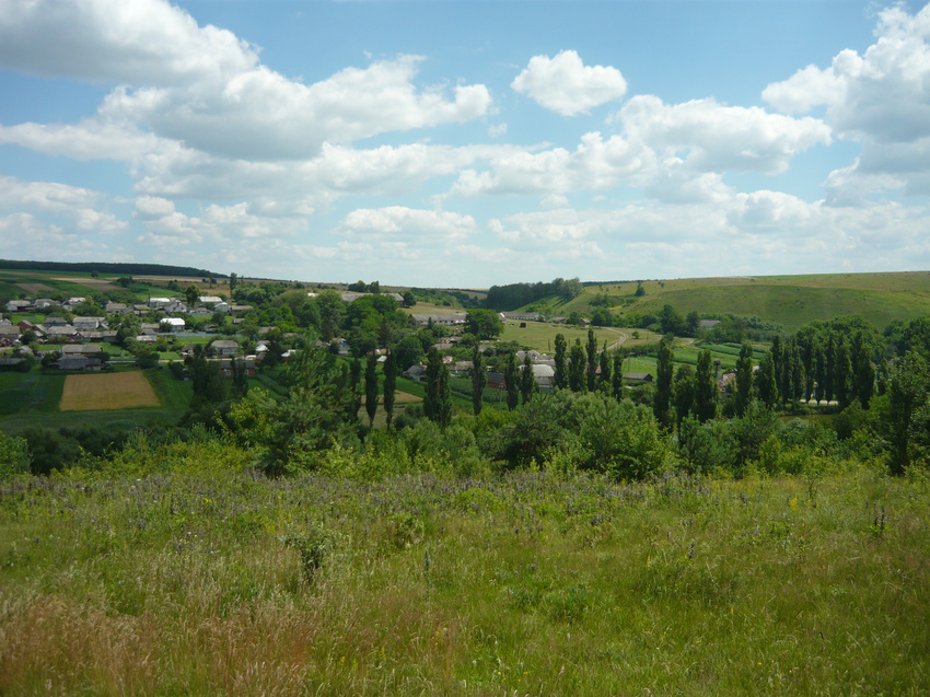 село Тарнавка