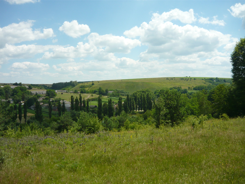 село Тарнавка