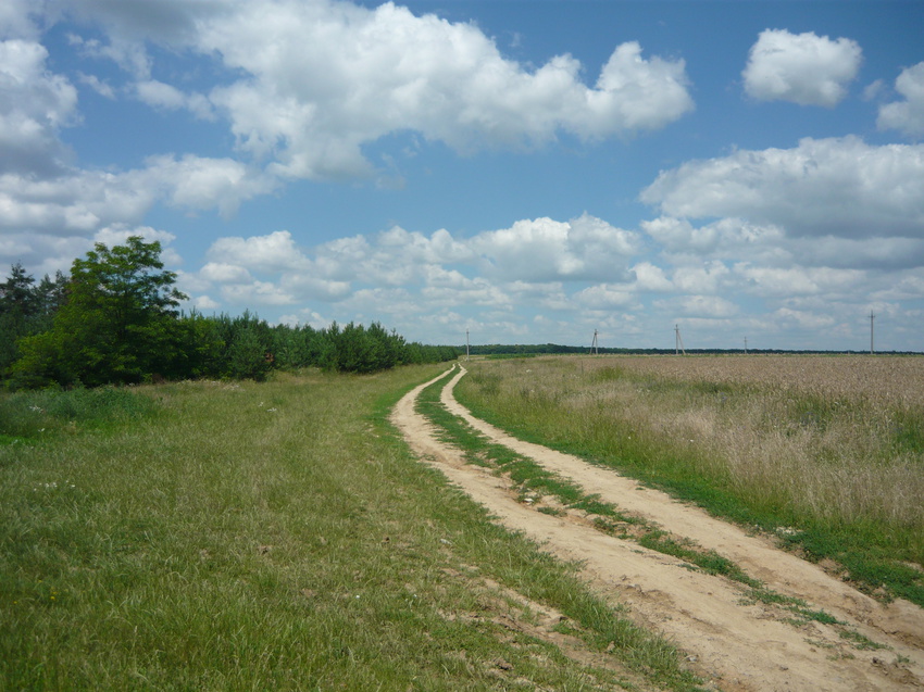 село Тарнавка