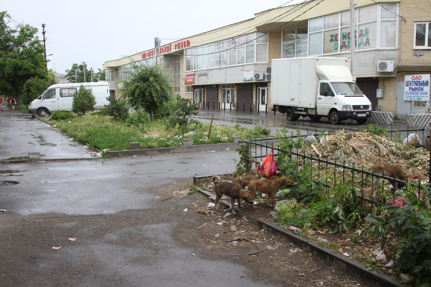 Таганрог. Центральный рынок.