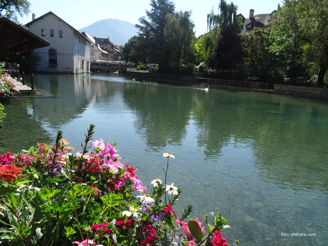 Annecy 2016