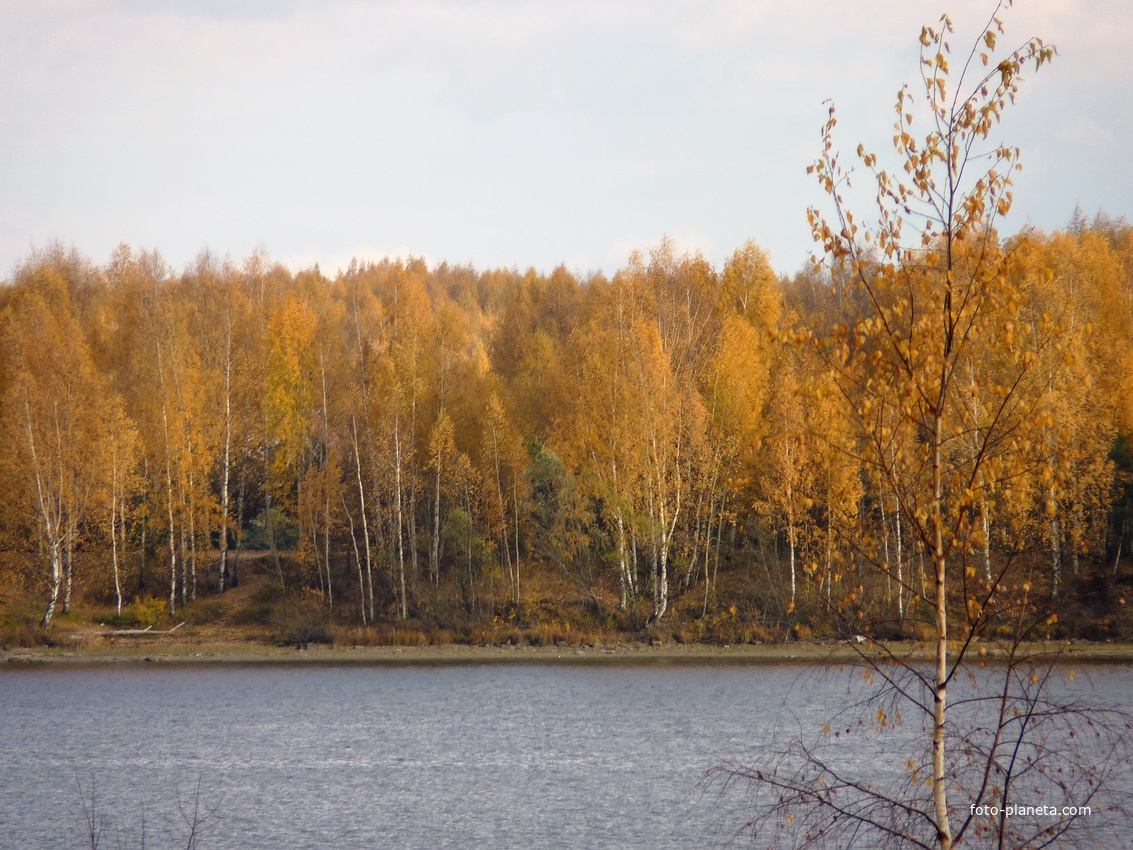 Осенний берег Волги