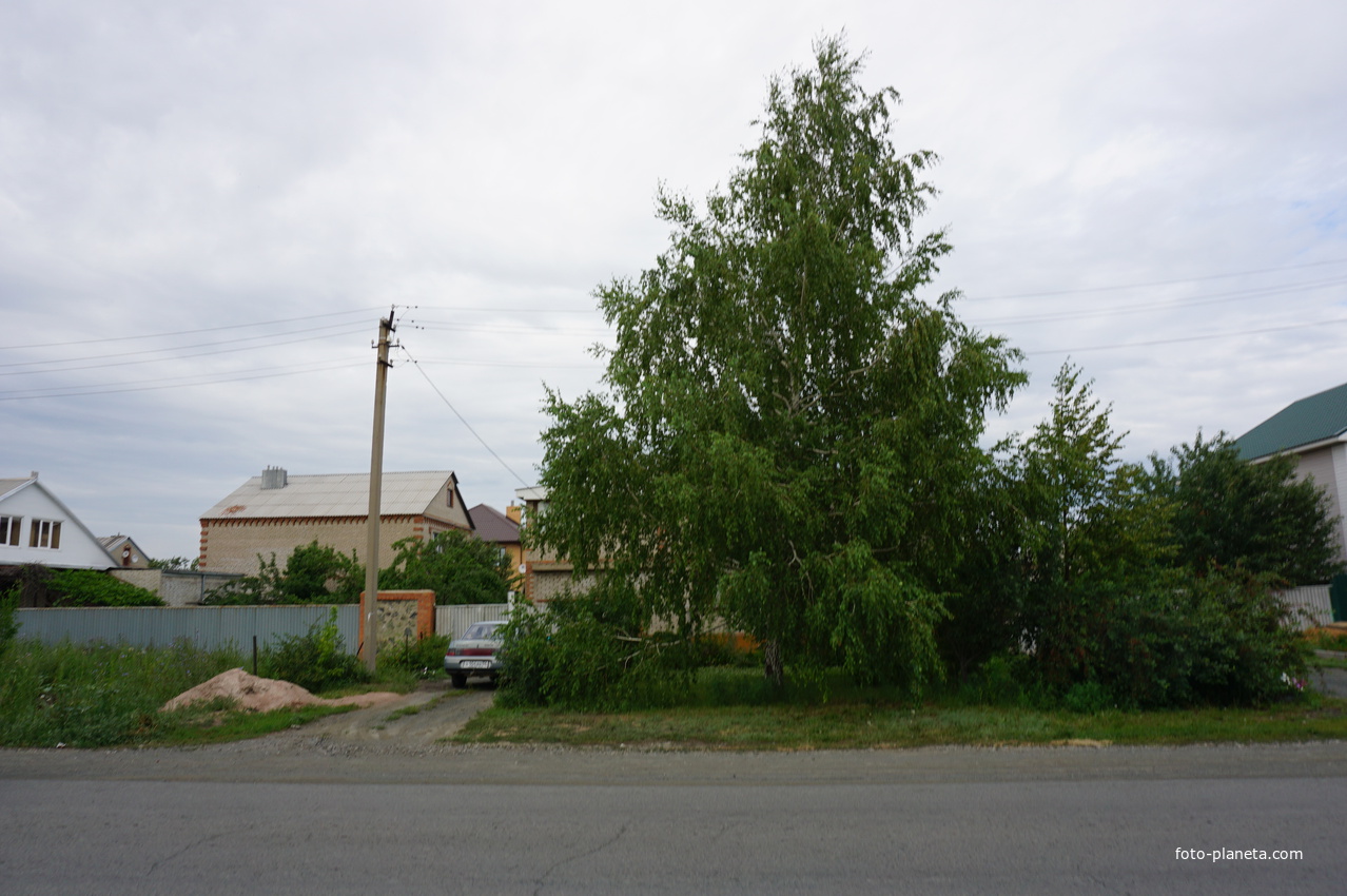 улица Ялтинская.