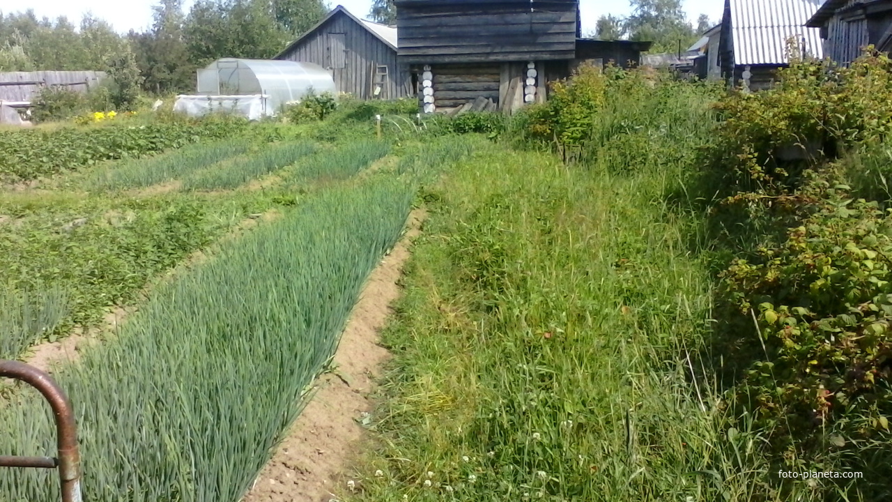 Огороды в Чёрмозе