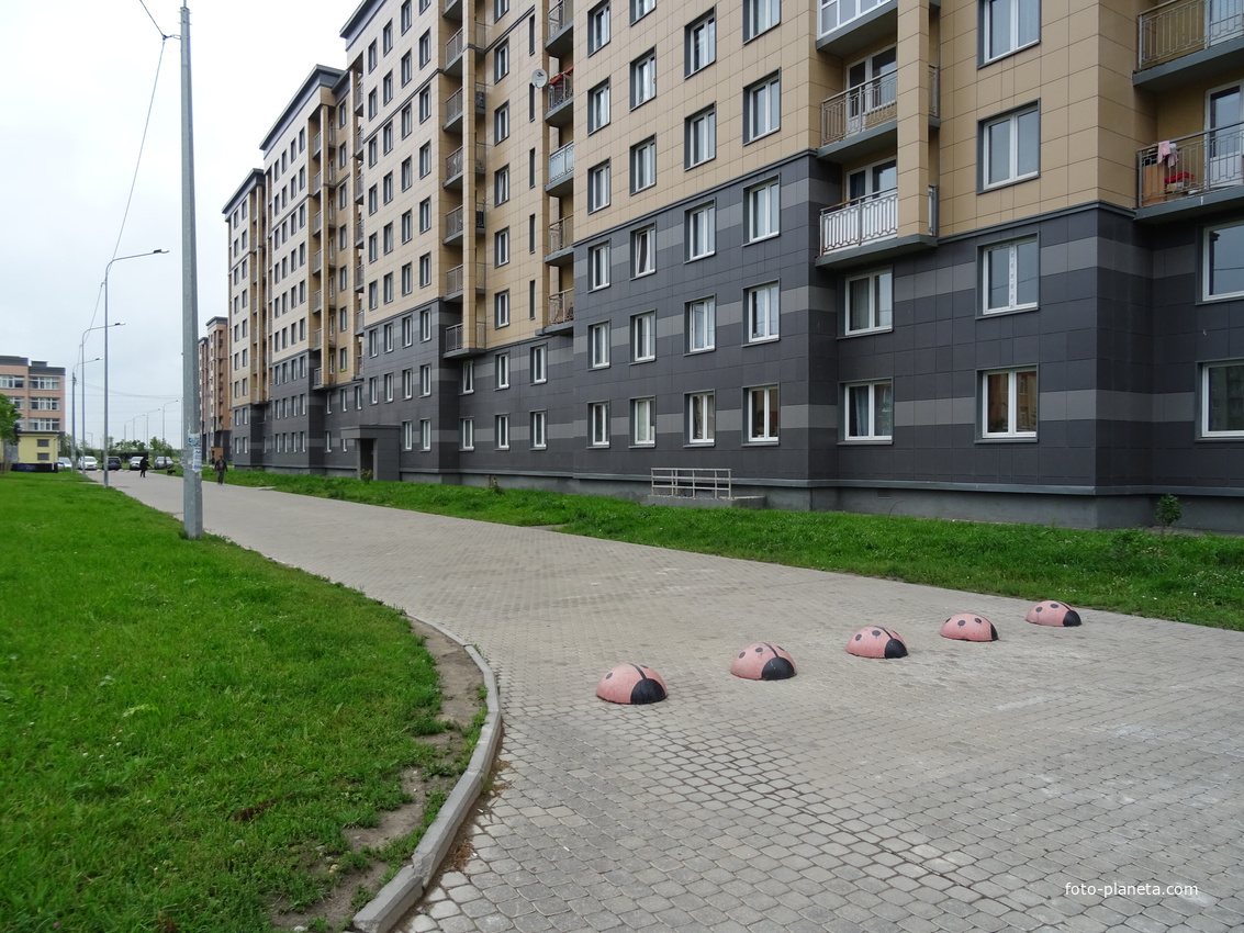 Славянка ленинградская. Московская Славянка Пушкинский район. Славянка Ленинградская область. Славянка Пушкинский район Санкт-Петербурга. Славянка Ленинградская область Пушкинский район.