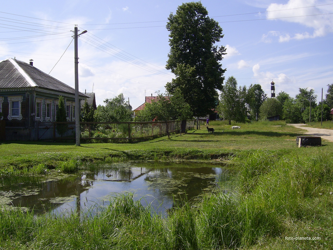 Деревня Русениха - улица Весенняя