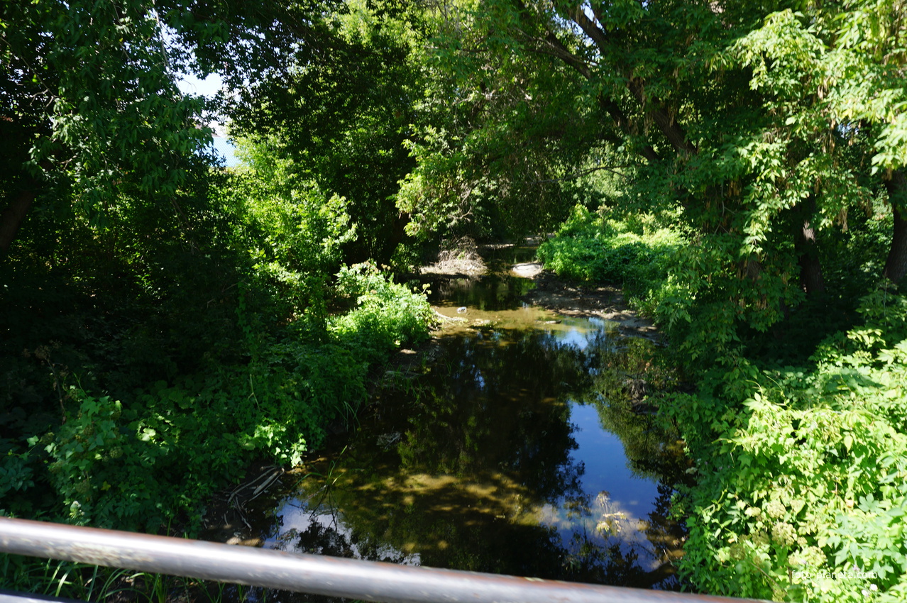 речка Елшанка.