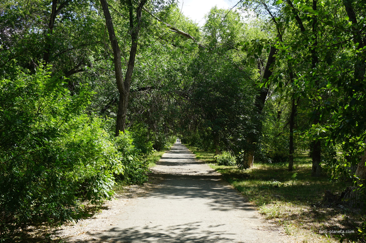 Парк вдоль проспекта Мира.
