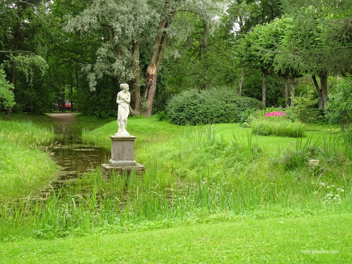 В Павловском парке