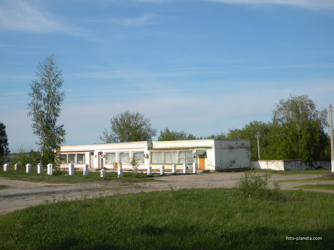 Магазин в селе Дмитриевка