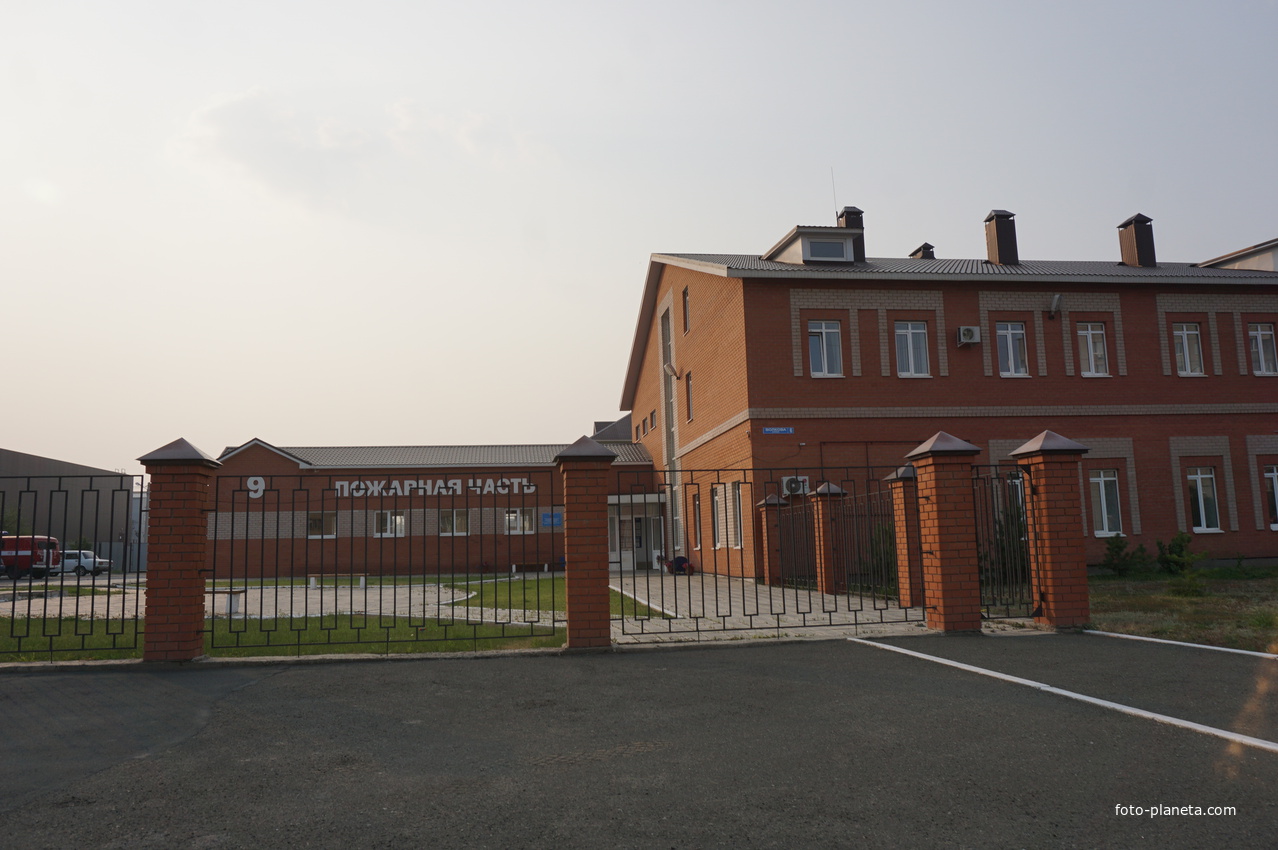 На улице Волкова.