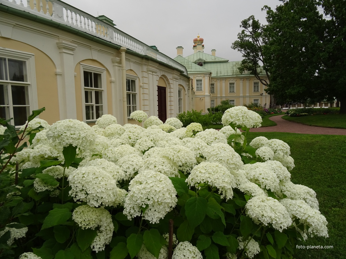 Сад Большого Меншиковского дворца