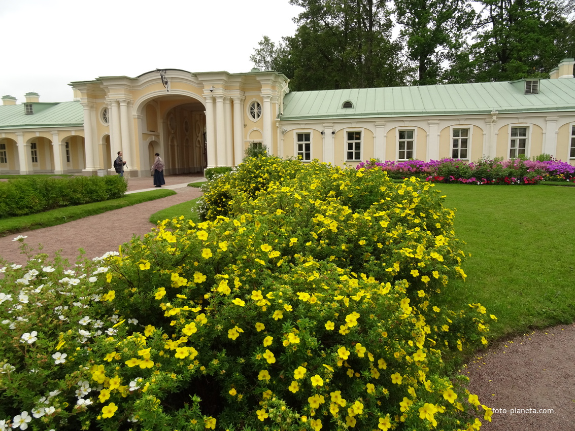 Сад Большого Меншиковского дворца
