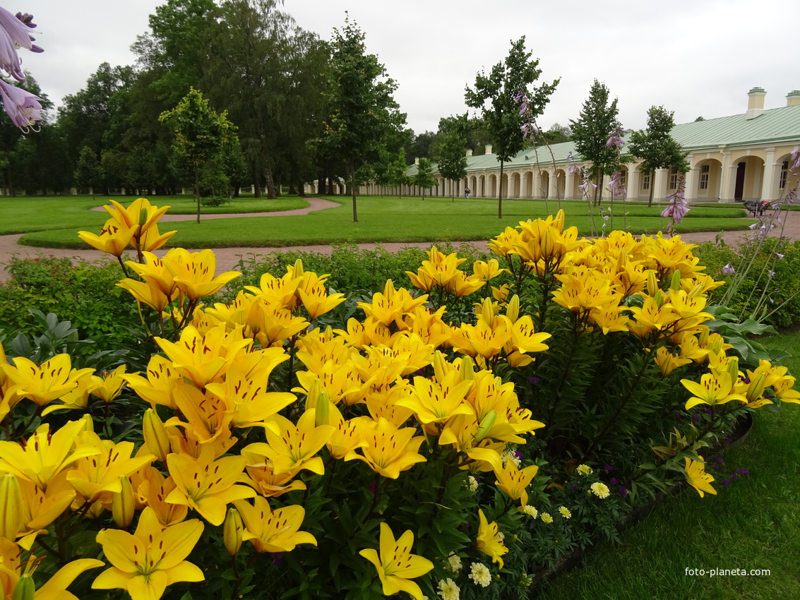 Сад Большого Меншиковского дворца