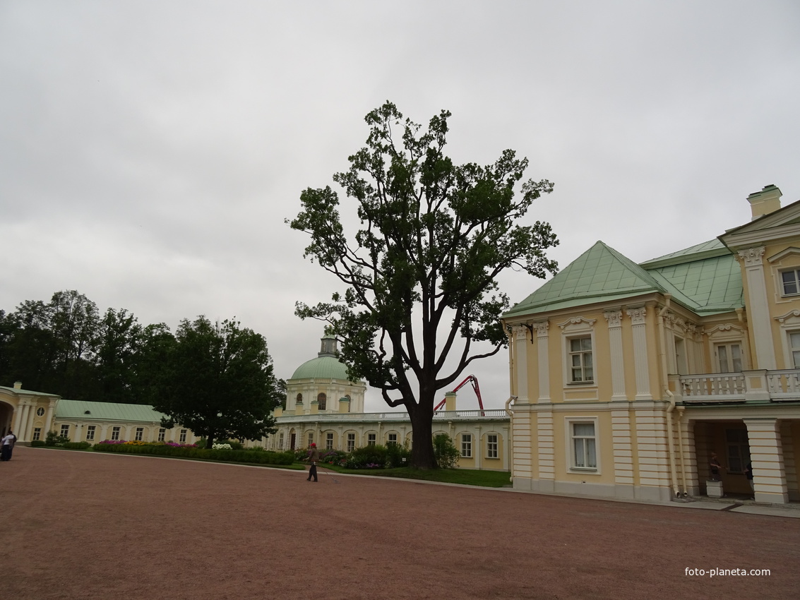 Сад Большого Меншиковского дворца
