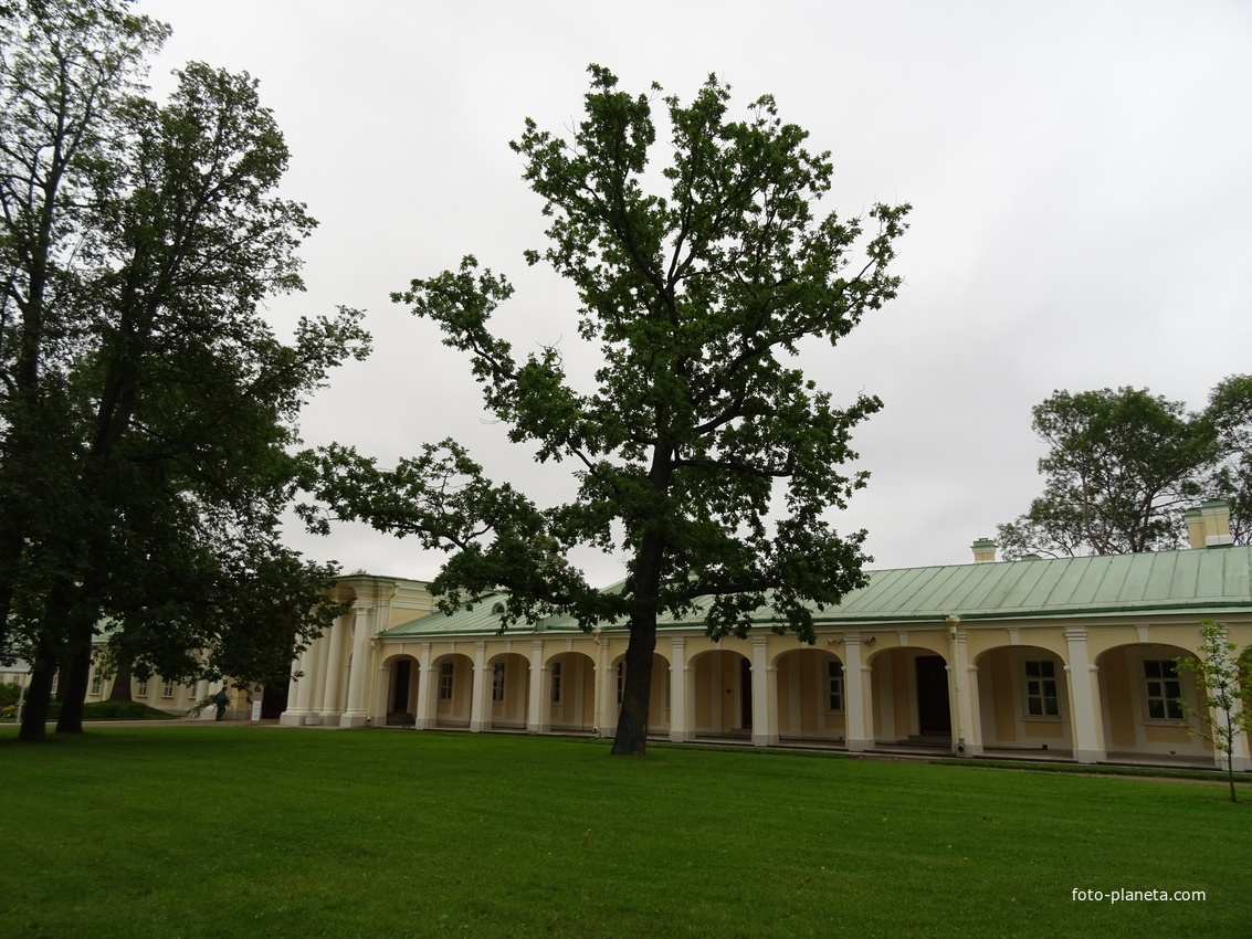 Сад Большого Меншиковского дворца