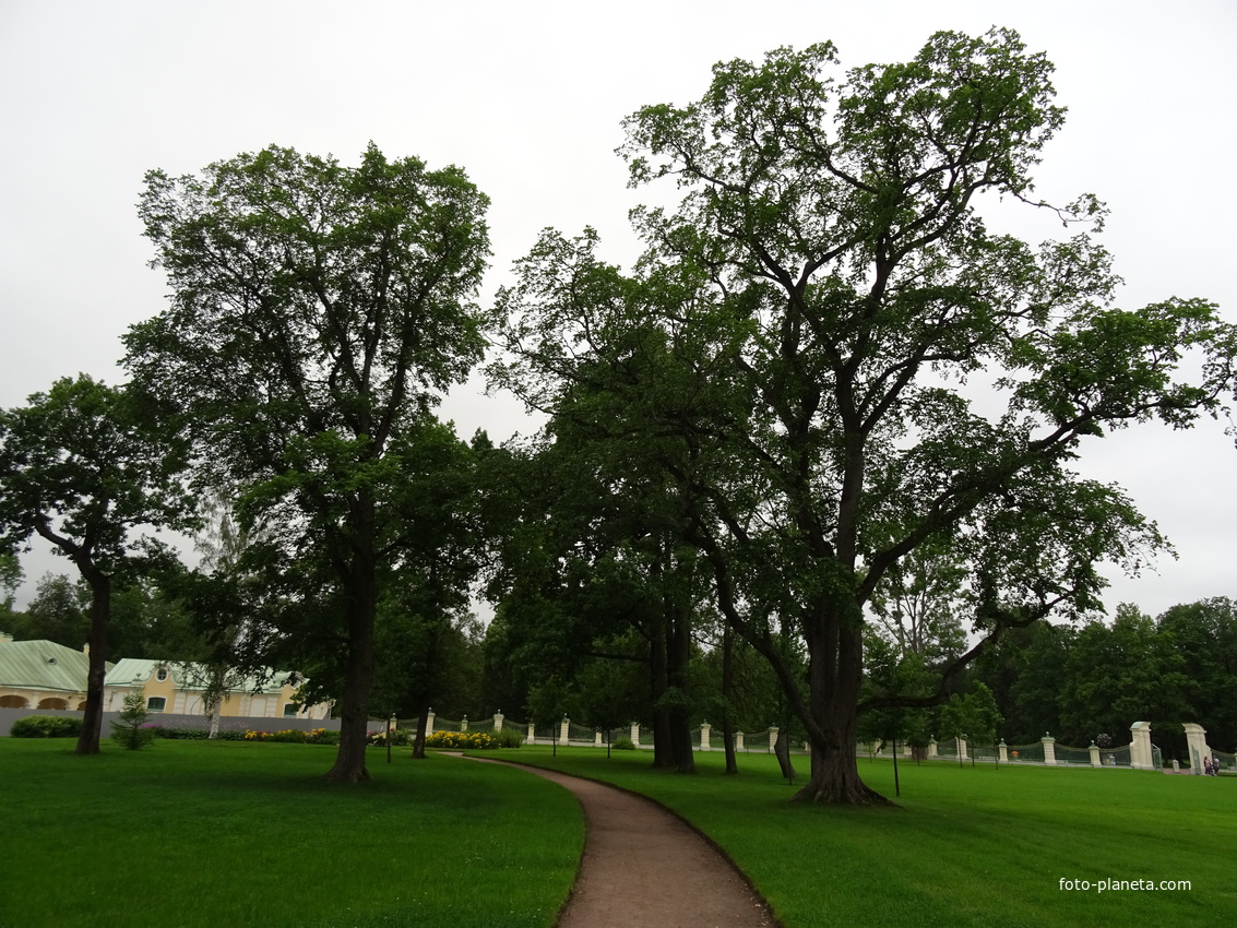 Сад Большого Меншиковского дворца