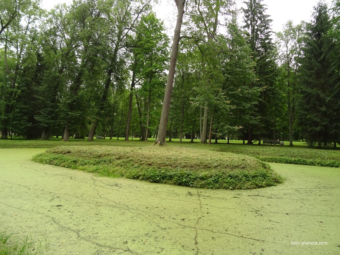 Дворцово-парковый ансамбль &quot;Ораниенбаум&quot;. Верхний парк.