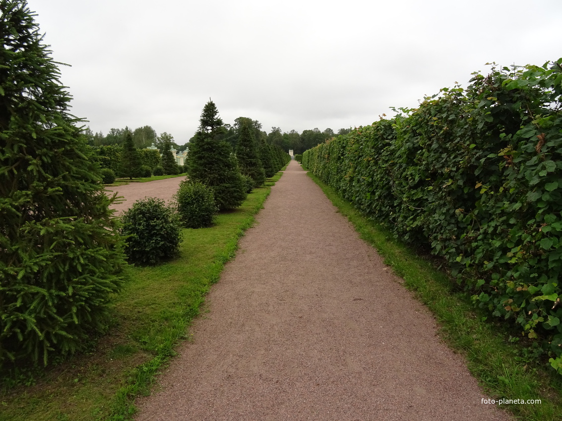 Дворцово-парковый ансамбль &quot;Ораниенбаум&quot;. Нижний сад.