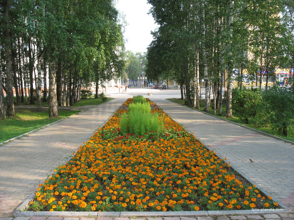 Улицы города сыктывкара. Сквер в городе Сыктывкар. Сыктывкар лето. Природа города Сыктывкара. Улицы в Сыктывкаре летом.