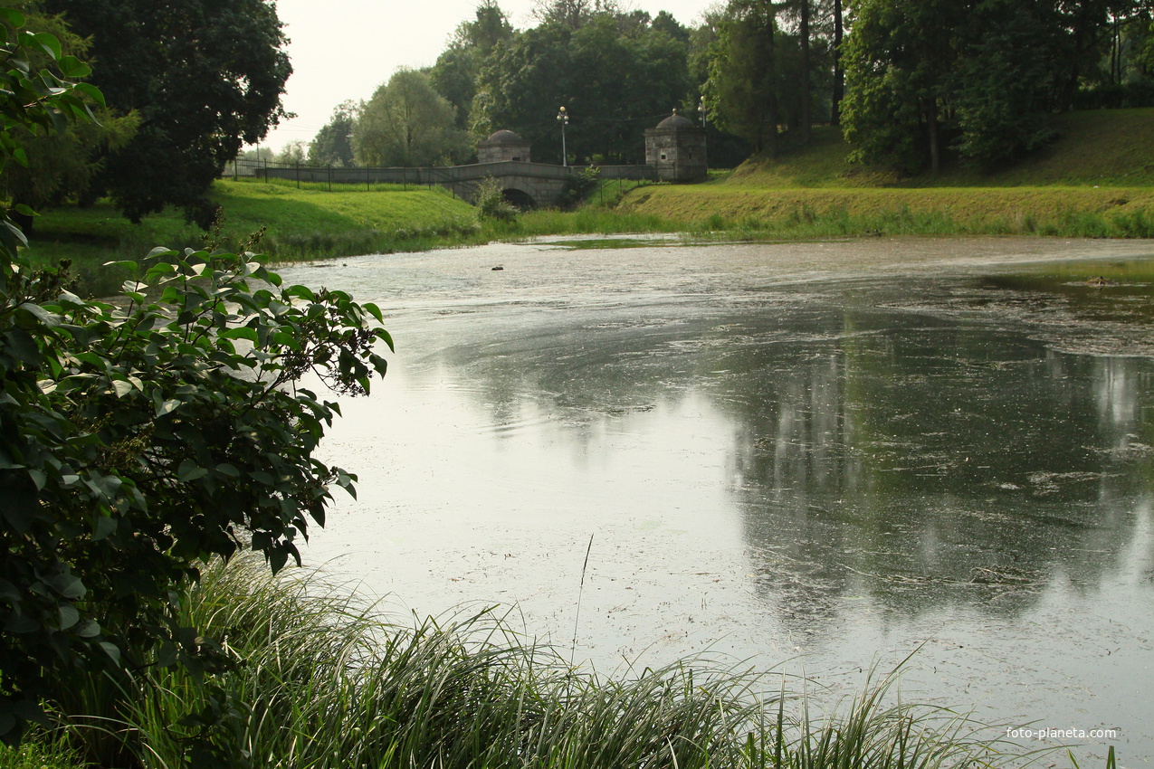 Дворцовый парк. Белое озеро.