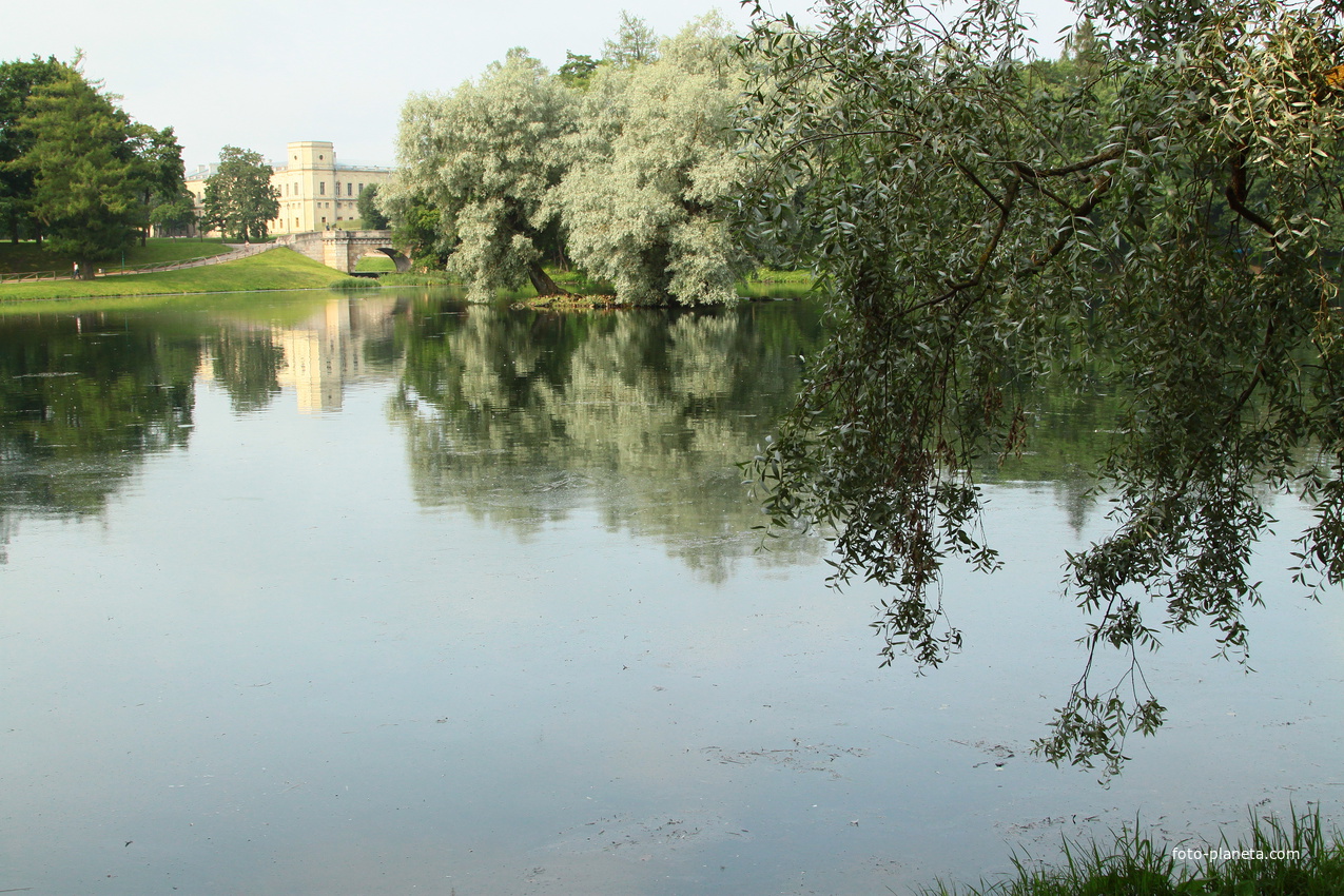 Дворцовый парк. Белое озеро.