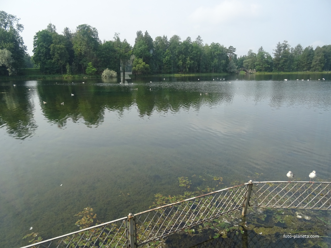 Дворцовый парк. Белое озеро.