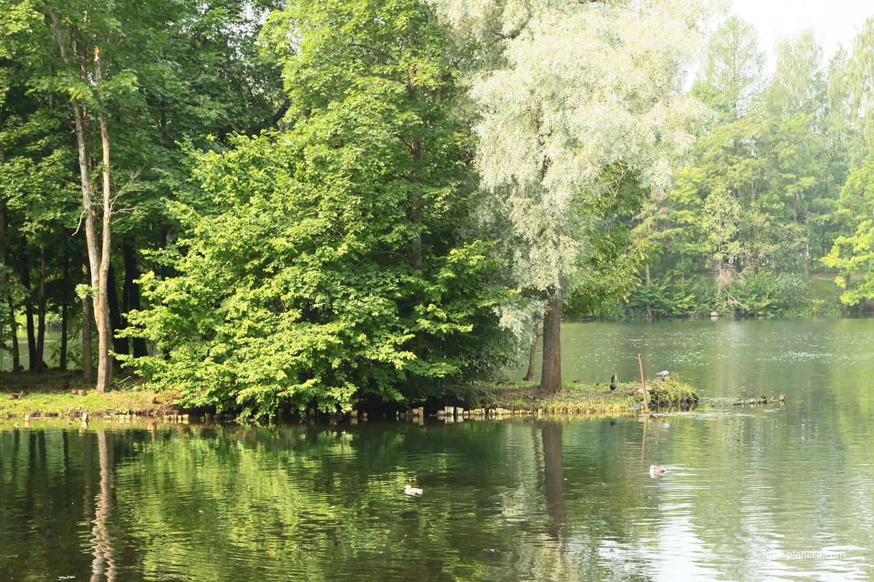 Дворцовый парк. Белое озеро.