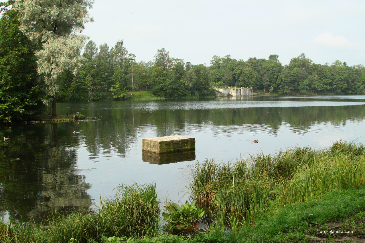 Дворцовый парк. Белое озеро.