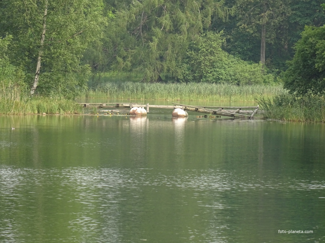 Дворцовый парк. Белое озеро.