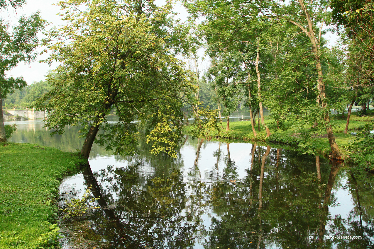 Дворцовый парк. Белое озеро.