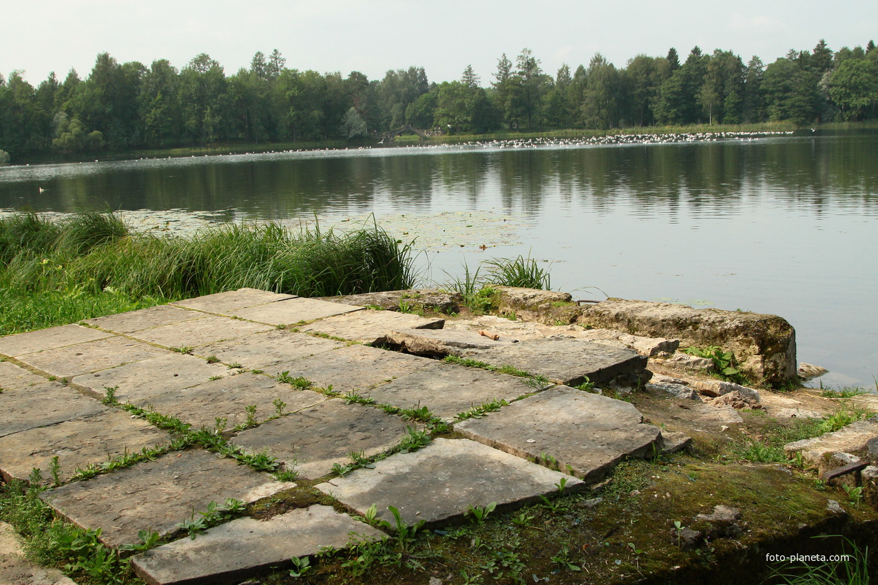 Дворцовый парк. Белое озеро.