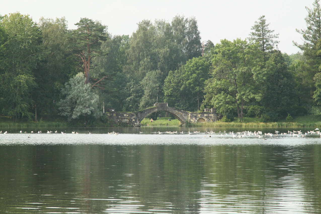 Дворцовый парк. Горбатый мост.