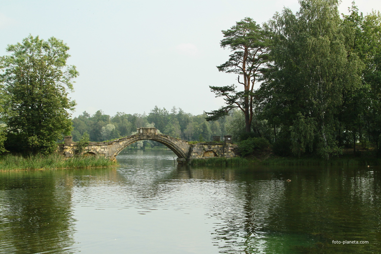 Дворцовый парк. Горбатый мост.