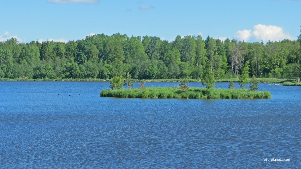 Гостилицкое озеро