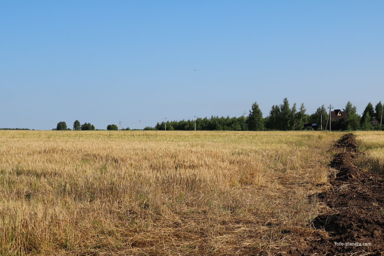 СТ Сотниковское