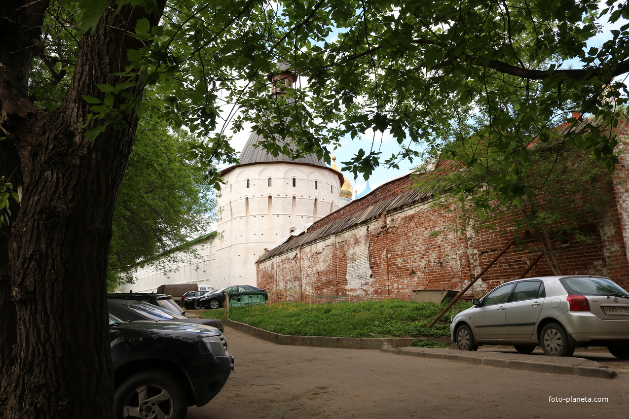 Новоспасский монастырь, южная стена