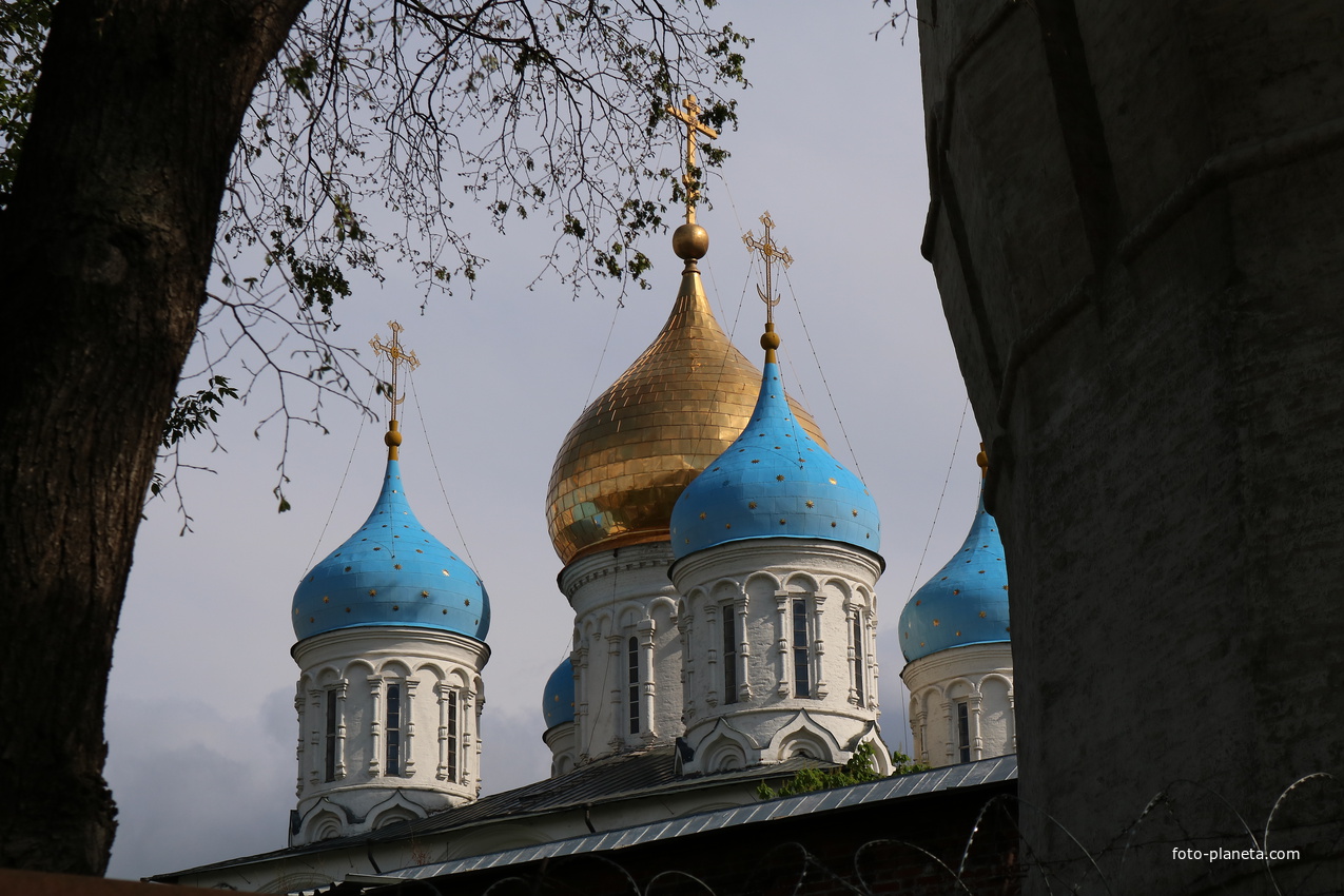 Купола собора Спаса Преображения Новоспасского монастыря