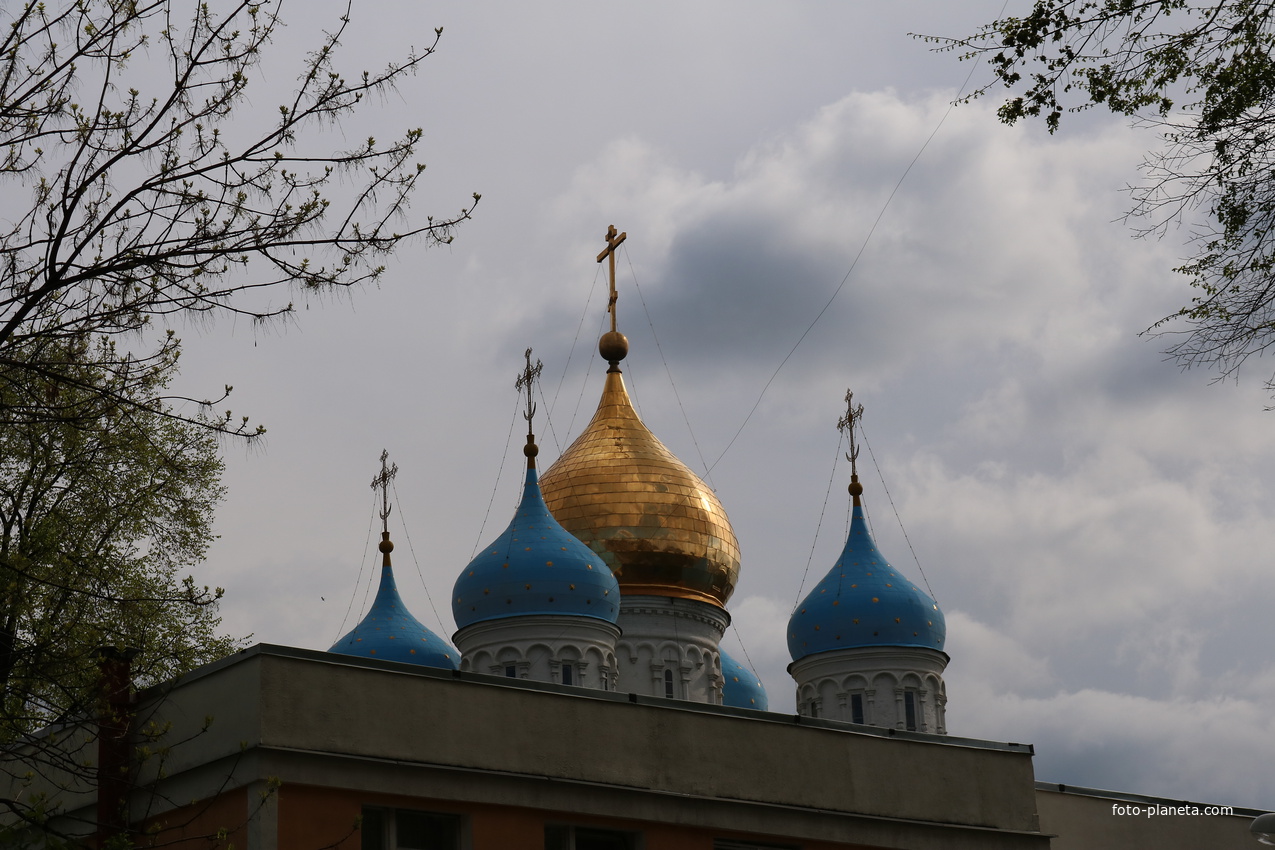 Купола собора Спаса Преображения Новоспасского монастыря