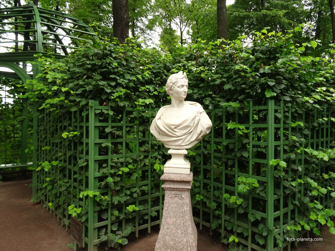 Летний сад. Скульптура &quot;Юлий цезарь&quot;.