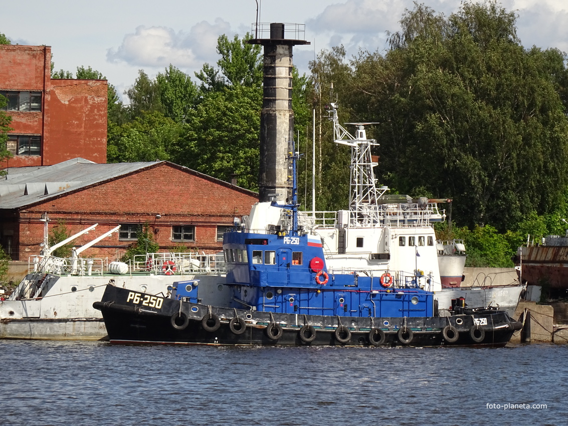 Лесная гавань