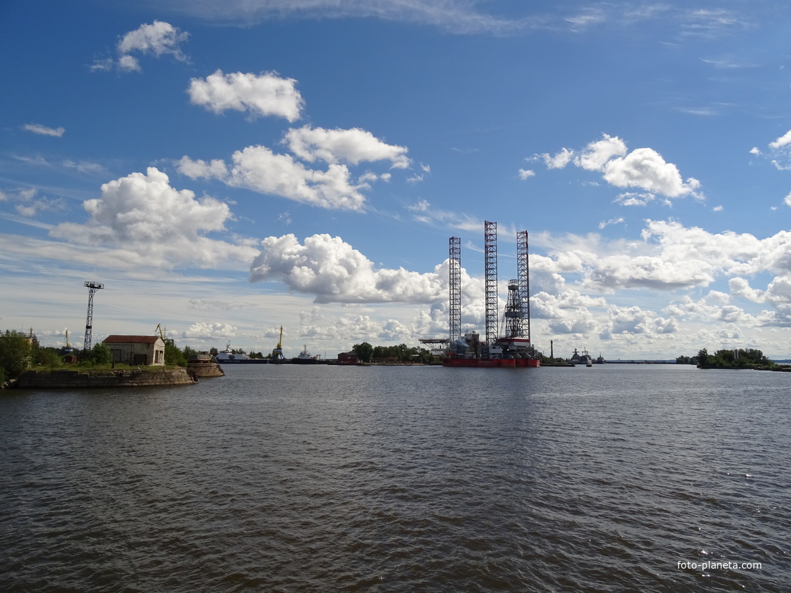 Лесная гавань