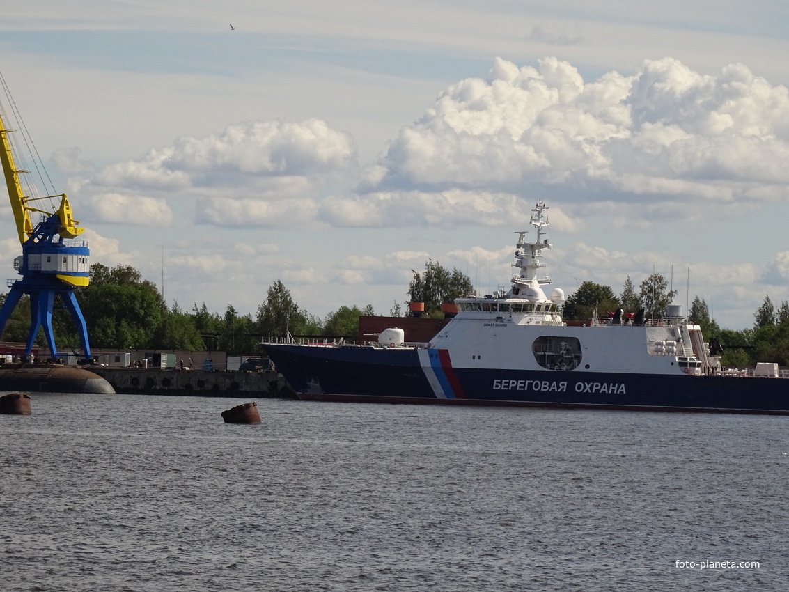 Лесная гавань